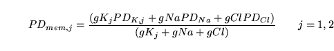 \begin{displaymath}
PD_{mem, j} = \frac{(gK_j PD_{K, j} + gNaPD_{Na} + gClPD_{Cl})}{(gK_j + gNa + gCl)}\quad\quad j=1,2
\end{displaymath}