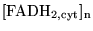 $\ensuremath{\mathrm{[FADH_{2, cyt}]_n}}$