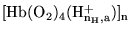 $\ensuremath{\mathrm{[Hb(O_2)_{4}(H^+_{n_H, a})]_n}}$