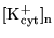 $\ensuremath{\mathrm{[K^+_{cyt}]_n}}$