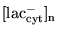 $\ensuremath{\mathrm{[lac^-_{cyt}]_n}}$