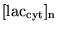 $\ensuremath{\mathrm{[lac_{cyt}]_n}}$