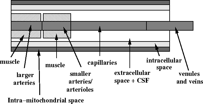 \begin{table}\includegraphics[height = 7.5cm]{modelphysstruct.eps}\end{table}