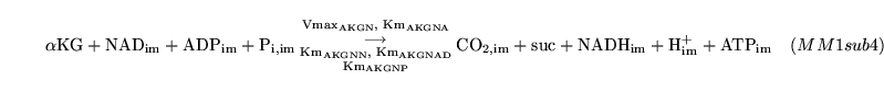 \begin{displaymath}
\ensuremath{\mathrm{\ensuremath{\mathrm{\alpha KG}}}}+ \ensu...
...emath{\mathrm{\ensuremath{\mathrm{ATP_{im}}}}}\quad (MM1sub4)
\end{displaymath}