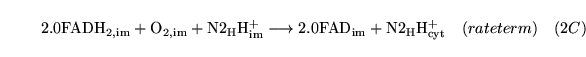 \begin{displaymath}
\ensuremath{\mathrm{2.0 \ensuremath{\mathrm{FADH_{2, im}}}}}...
... \ensuremath{\mathrm{H^+_{cyt}}}}}\quad (rateterm) \quad (2C)
\end{displaymath}