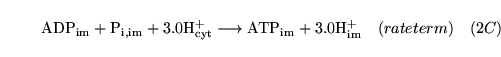 \begin{displaymath}
\ensuremath{\mathrm{\ensuremath{\mathrm{ADP_{im}}}}}+ \ensur...
...0 \ensuremath{\mathrm{H^+_{im}}}}}\quad (rateterm) \quad (2C)
\end{displaymath}