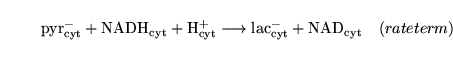 \begin{displaymath}
\ensuremath{\mathrm{\ensuremath{\mathrm{pyr^-_{cyt}}}}}+ \en...
...ath{\mathrm{\ensuremath{\mathrm{NAD_{cyt}}}}}\quad (rateterm)
\end{displaymath}