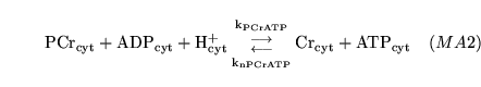 \begin{displaymath}
\ensuremath{\mathrm{\ensuremath{\mathrm{PCr_{cyt}}}}}+ \ensu...
...suremath{\mathrm{\ensuremath{\mathrm{ATP_{cyt}}}}}\quad (MA2)
\end{displaymath}