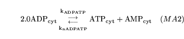 \begin{displaymath}
\ensuremath{\mathrm{2.0 \ensuremath{\mathrm{ADP_{cyt}}}}}{{\...
...suremath{\mathrm{\ensuremath{\mathrm{AMP_{cyt}}}}}\quad (MA2)
\end{displaymath}