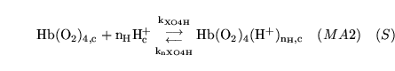 \begin{displaymath}
\ensuremath{\mathrm{\ensuremath{\mathrm{Hb(O_2)_{4, c}}}}}+ ...
...emath{\mathrm{Hb(O_2)_4(H^+)_{n_H, c}}}}}\quad (MA2) \quad (S)
\end{displaymath}