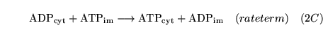 \begin{displaymath}
\ensuremath{\mathrm{\ensuremath{\mathrm{ADP_{cyt}}}}}+ \ensu...
...m{\ensuremath{\mathrm{ADP_{im}}}}}\quad (rateterm) \quad (2C)
\end{displaymath}