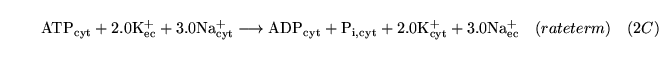 \begin{displaymath}
\ensuremath{\mathrm{\ensuremath{\mathrm{ATP_{cyt}}}}}+ \ensu...
... \ensuremath{\mathrm{Na^+_{ec}}}}}\quad (rateterm) \quad (2C)
\end{displaymath}