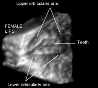 kissing - female lips