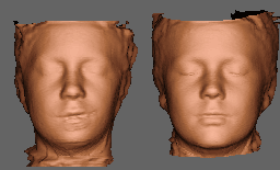 2 sets of averaged faces.